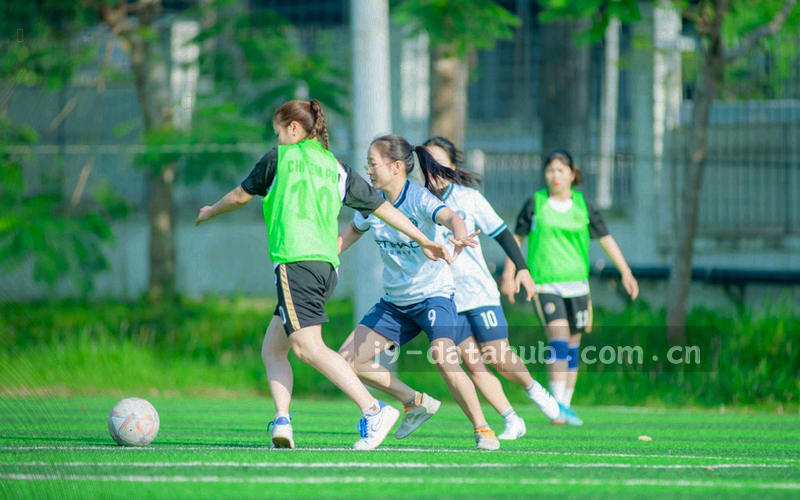 盾牌轮廓内有多组数据节点